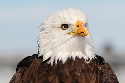 Photo of Spirit