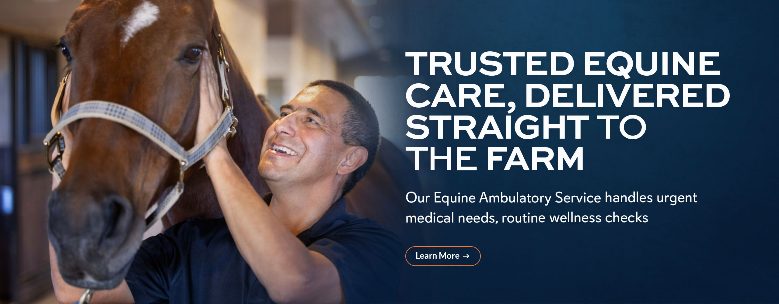 Trusted equine care, delivered straight to the farm. Our Equine Ambulatory Service handles urgent medical needs, routine wellness checks.
