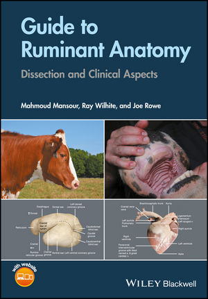 Photo of Guide to Ruminant Anatomy book cover