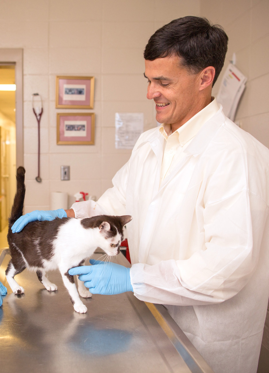 photo of Dr. Doug Martin examining a cat 