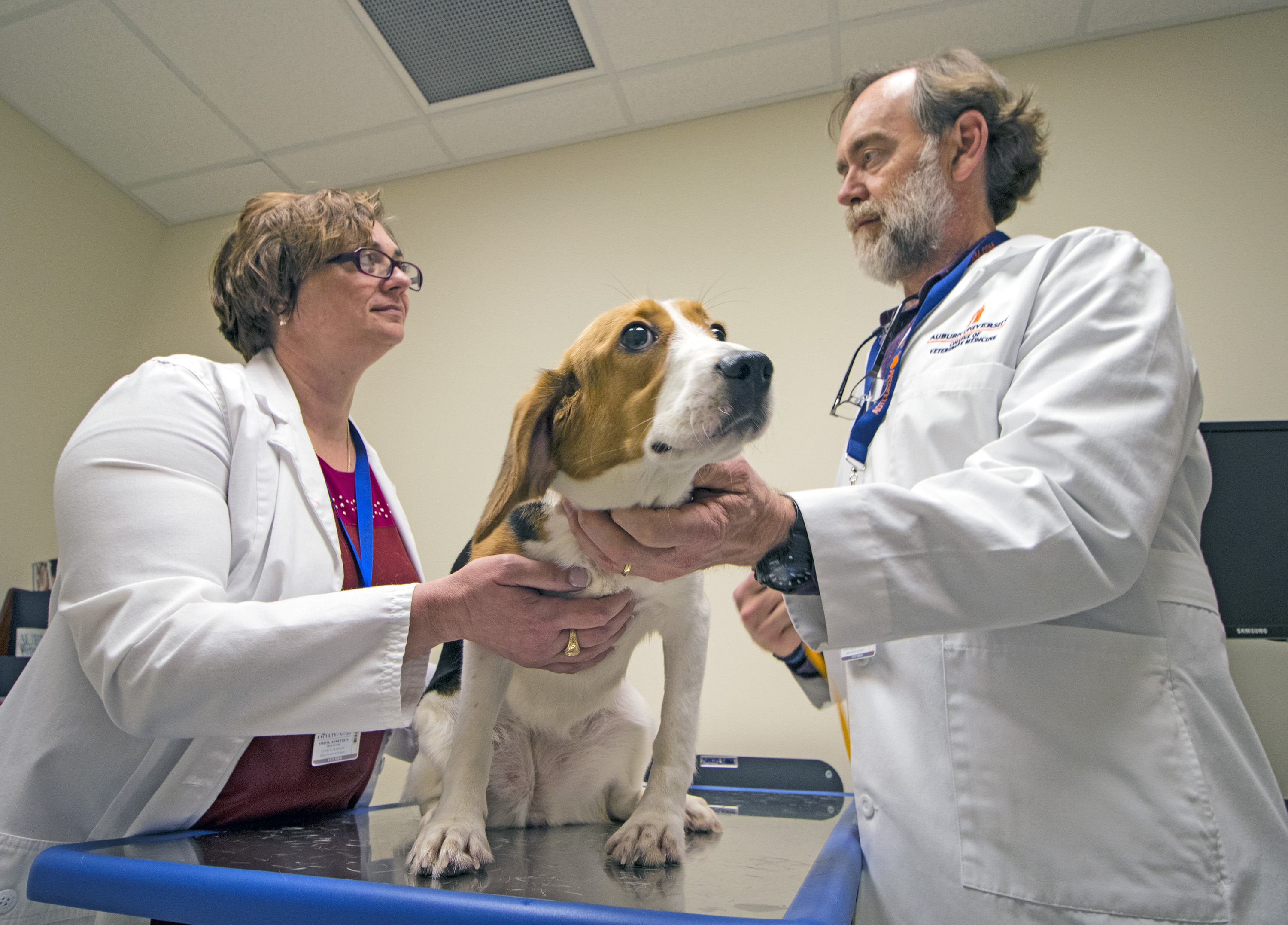 photo of Dr. Annette Smith and Dr. Bruce Smith with a canine patient 