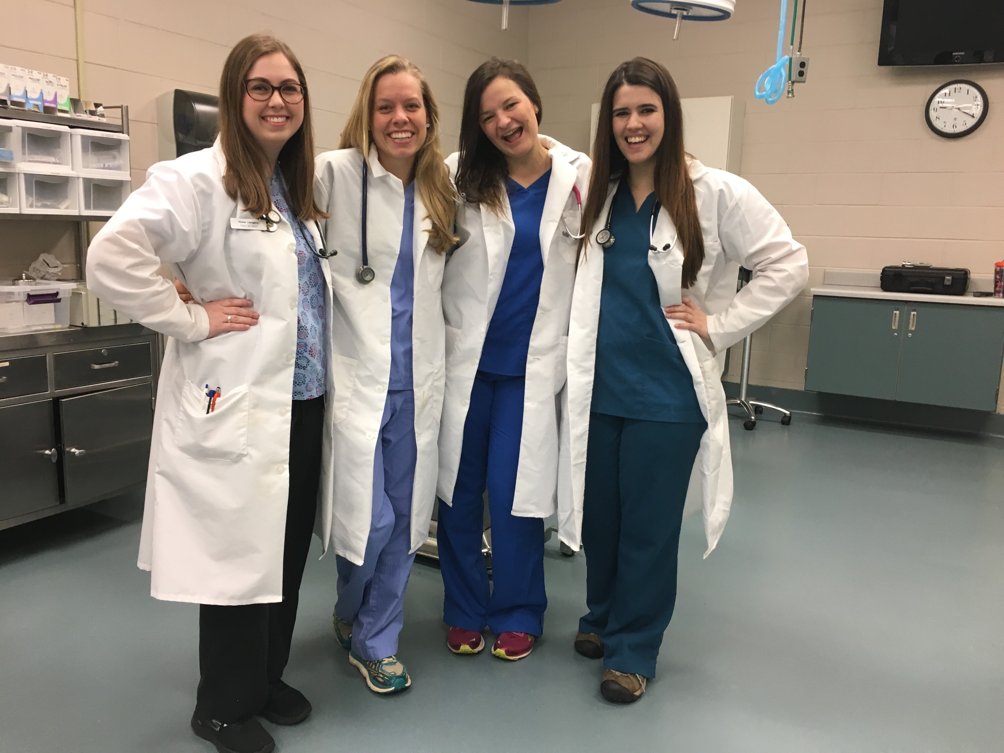 Amy Hansen, second from left, and students in small animal  physical diagnosis class. 