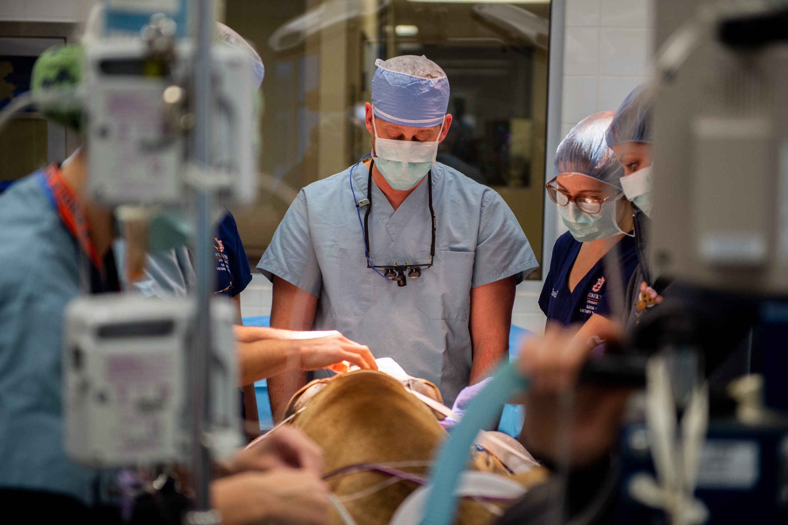 photo of Dr. Matz in Surgery