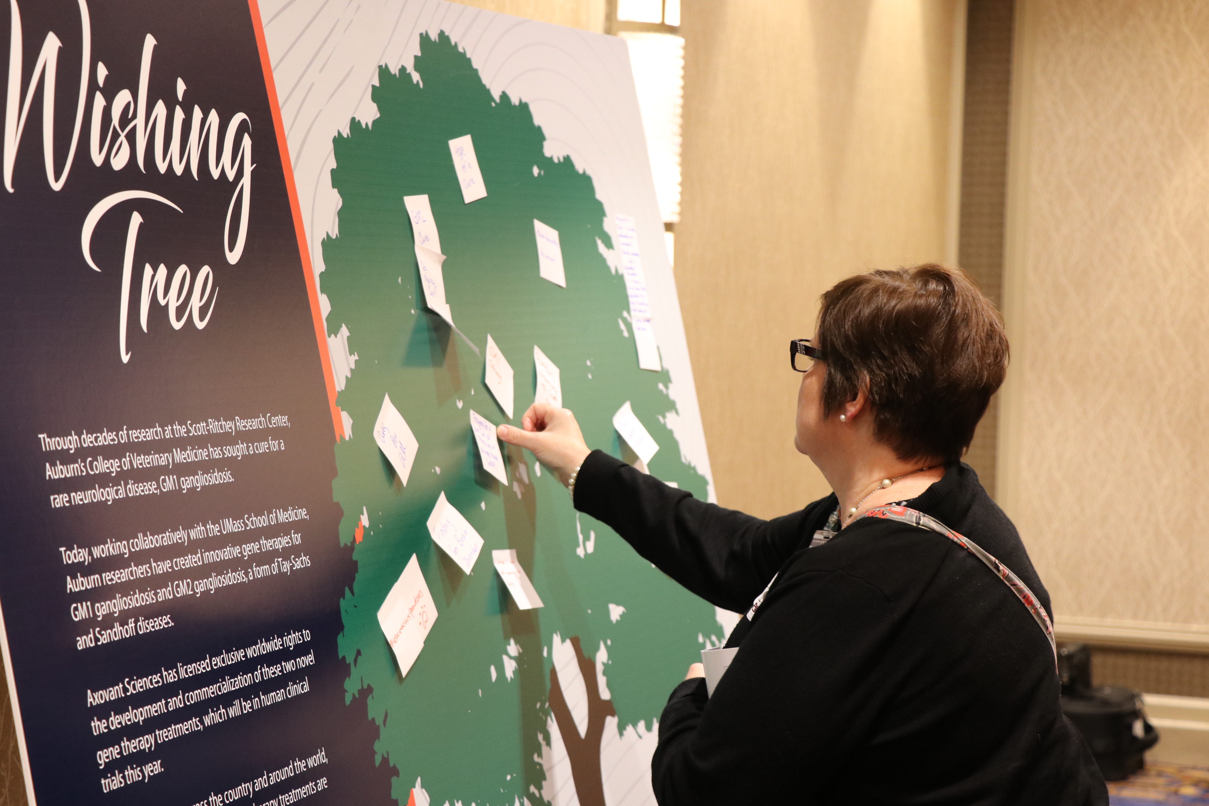 Attendees left messages of hope of the Auburn Wishing Tree.