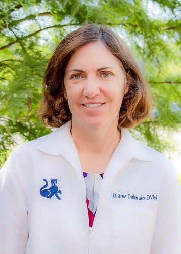Dr. Diane Delmain