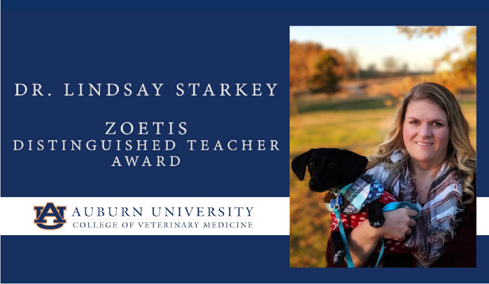 Dr. Lindsay Starkey