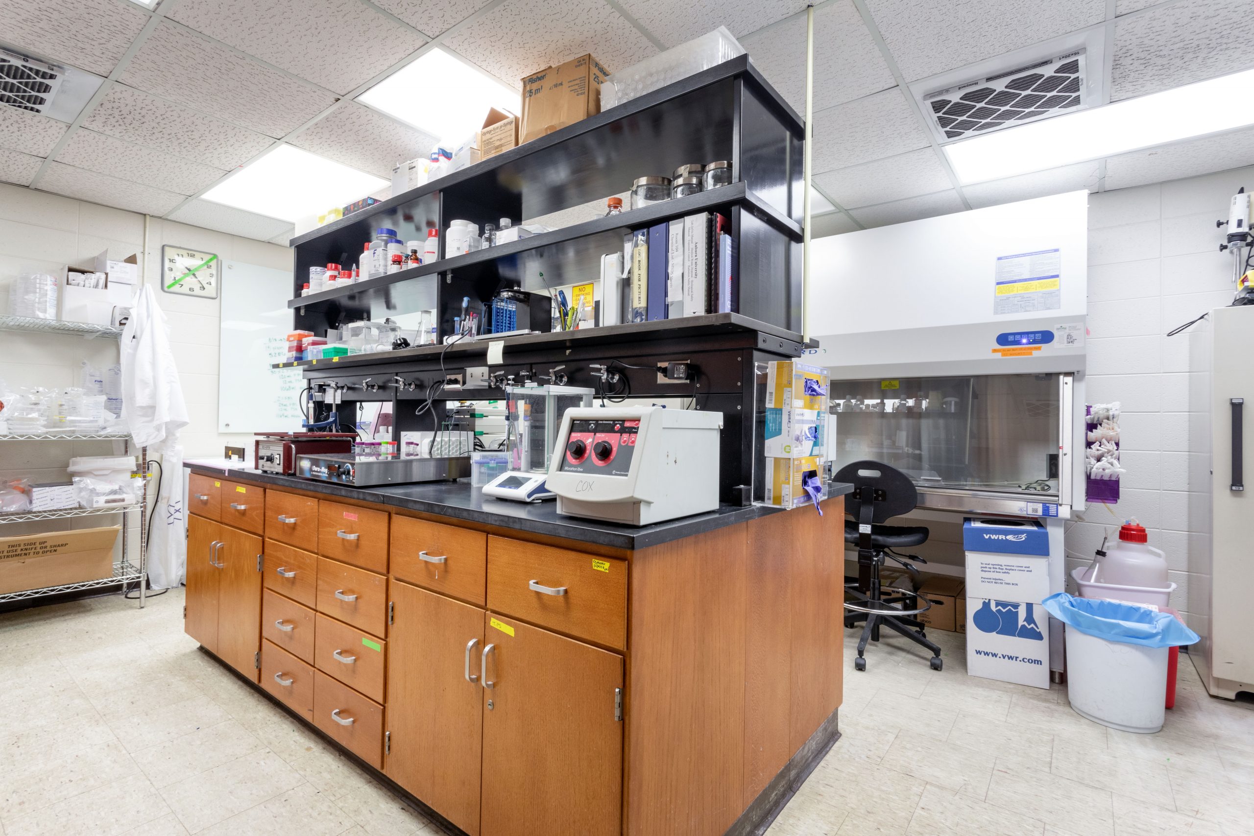 Laboratory in Scott-Ritchey Research Center