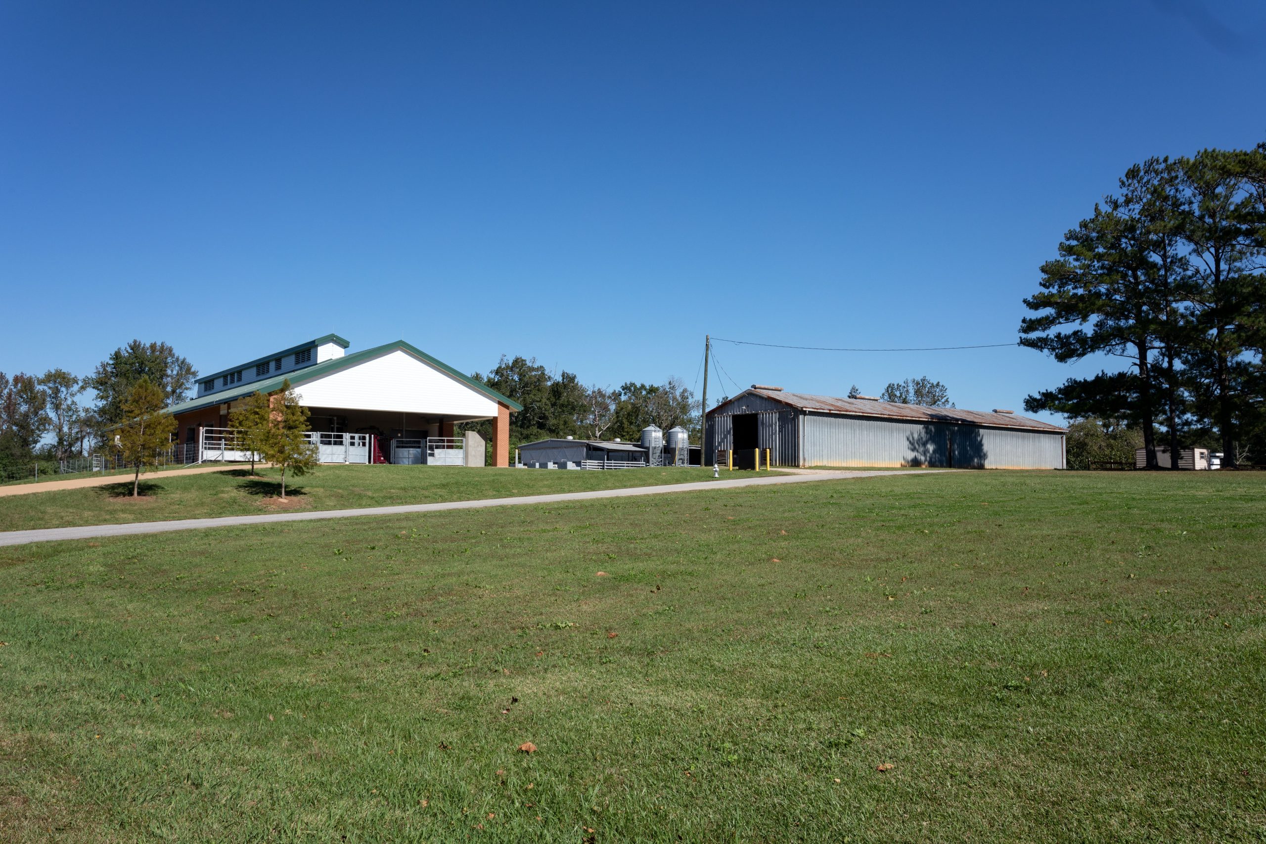 Sugg Hay Barn, Sugg Calf Barn and Food Animal Research Facility