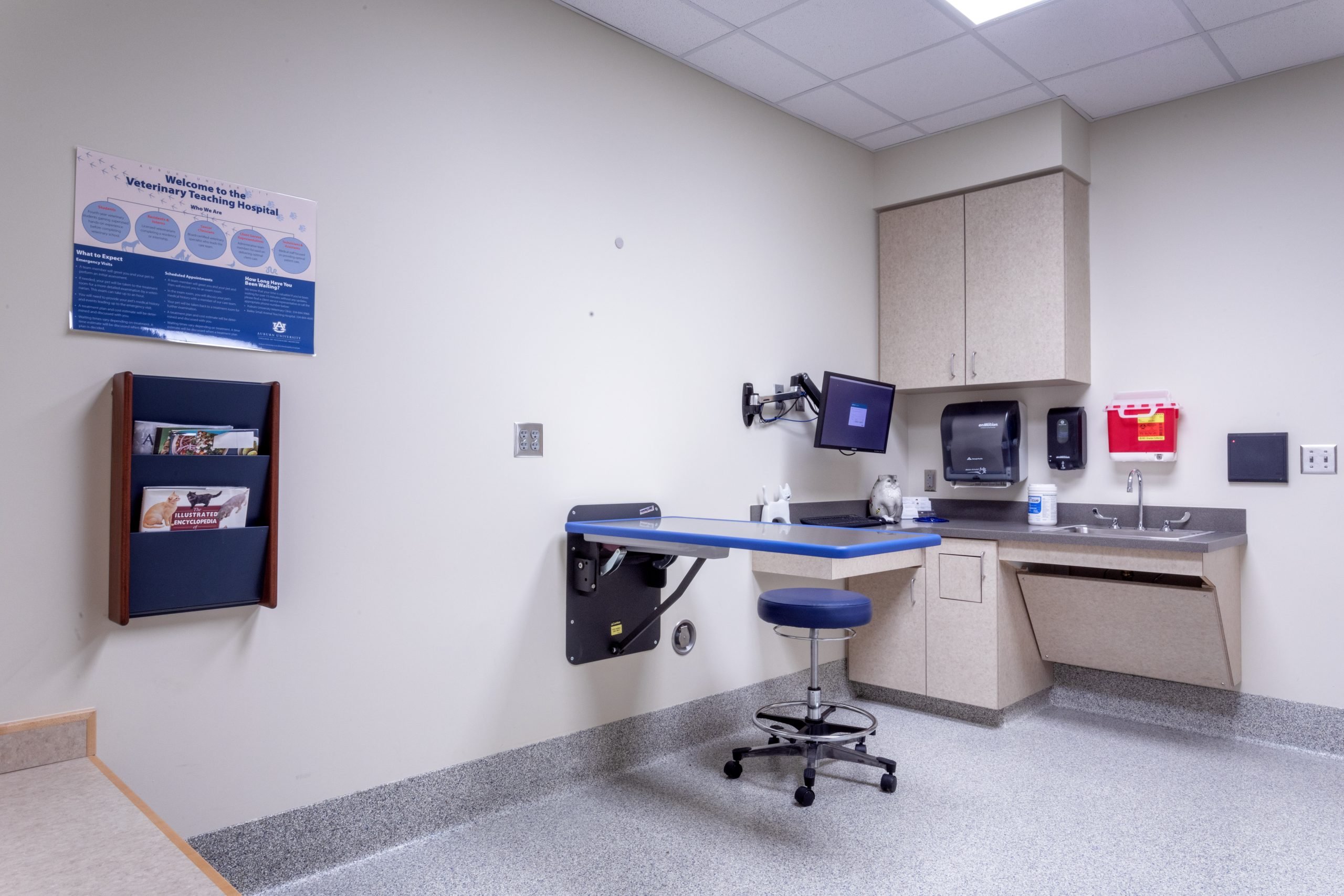 Small Animal Hospital Patient Exam Room