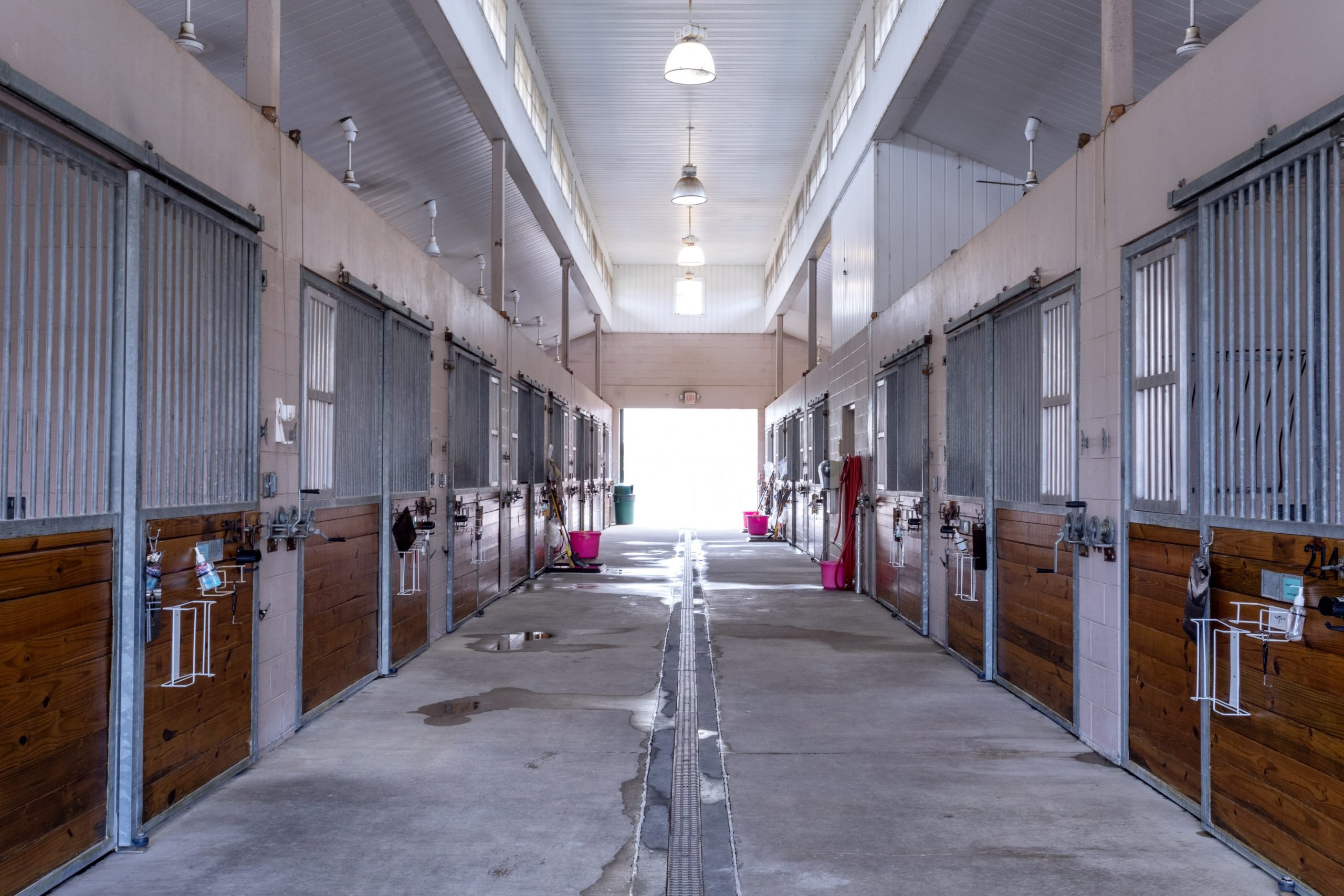 Equine Patient Barn