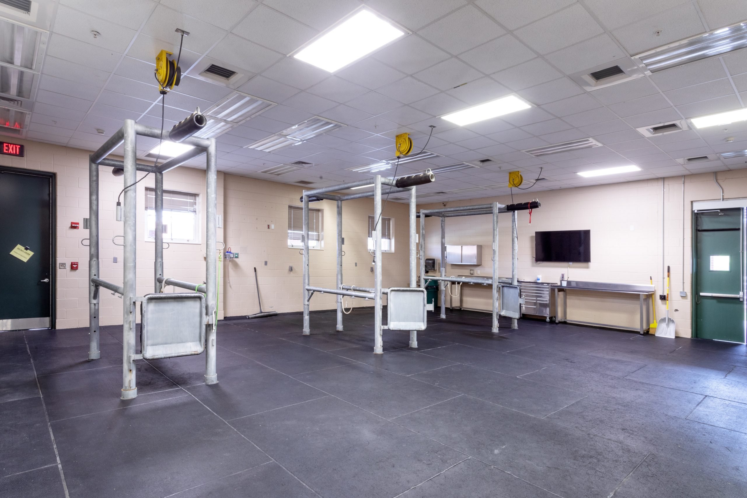 Equine Treatment Room