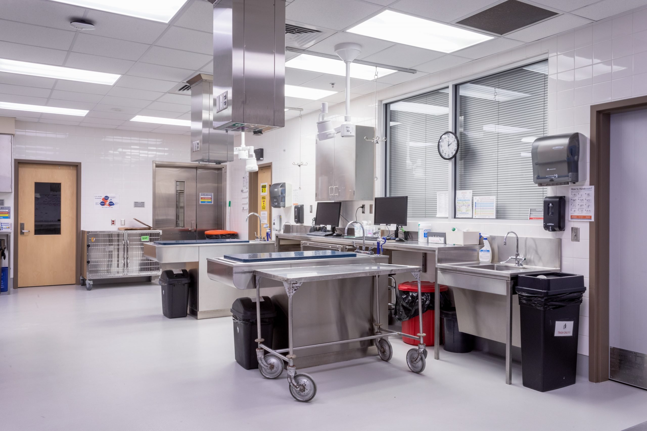 Auburn Veterinary Clinic Treatment Room