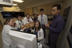 Cardiology doctor and students