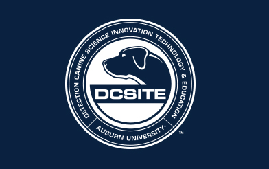 DCSITE logo