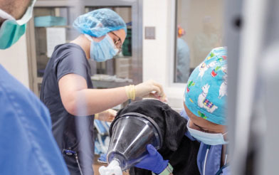 Technicians prepping patient for surgery