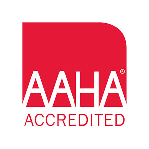 AAHA Accredited