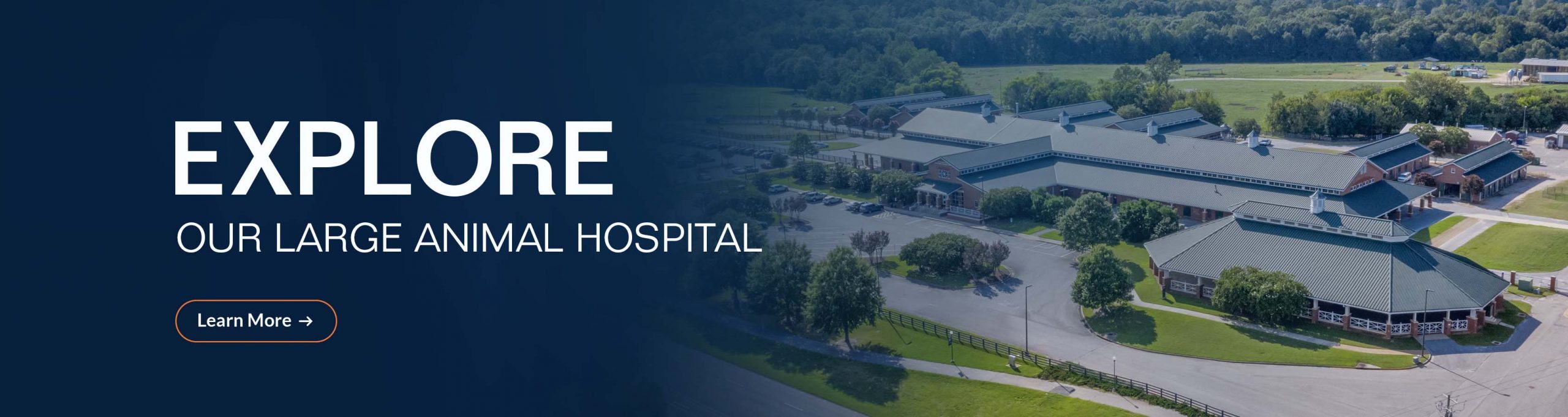 Explore our Large Animal Hospital
