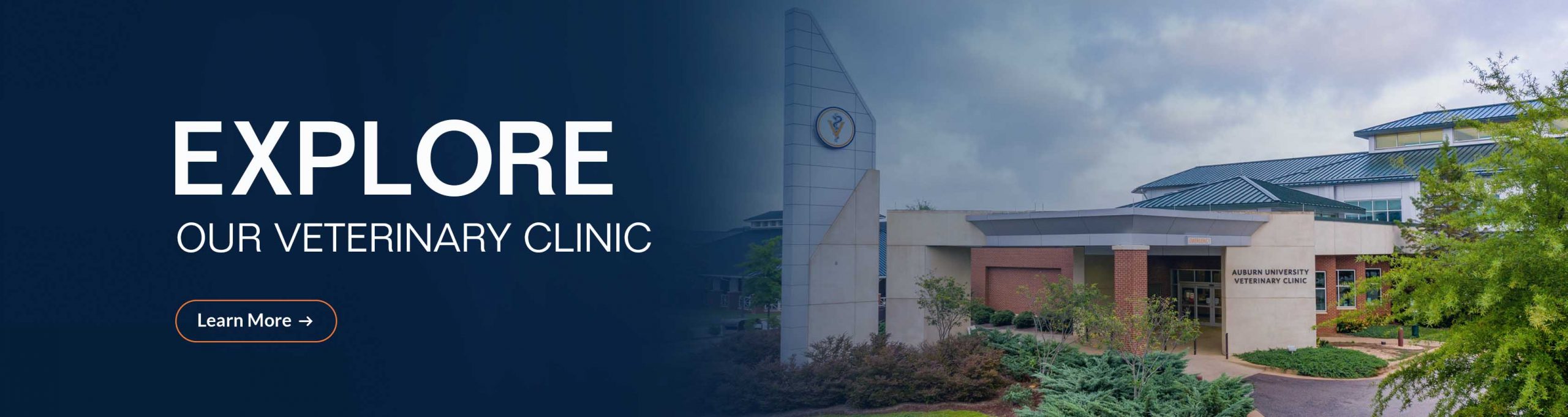 Auburn University Veterinary Clinic - Auburn University College of  Veterinary Medicine