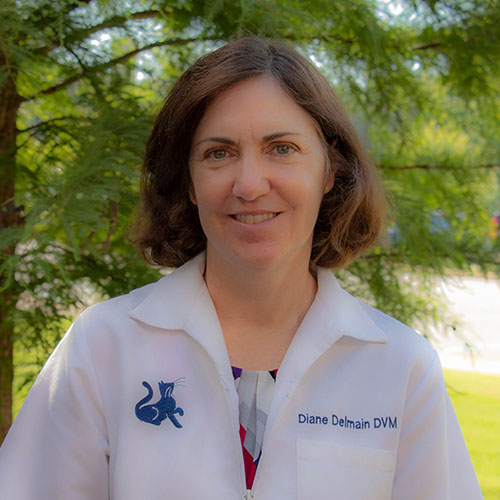 Dr. Delmain