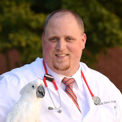 Dr. Oster