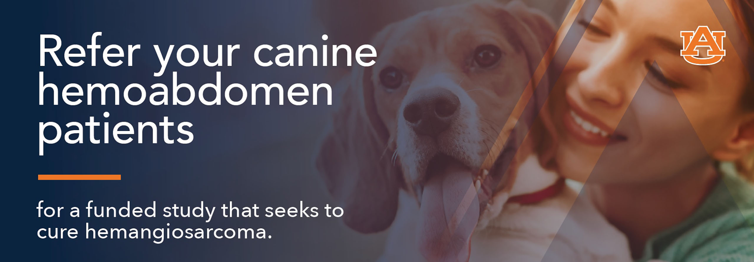 Refer your canine hemoabdomen patients