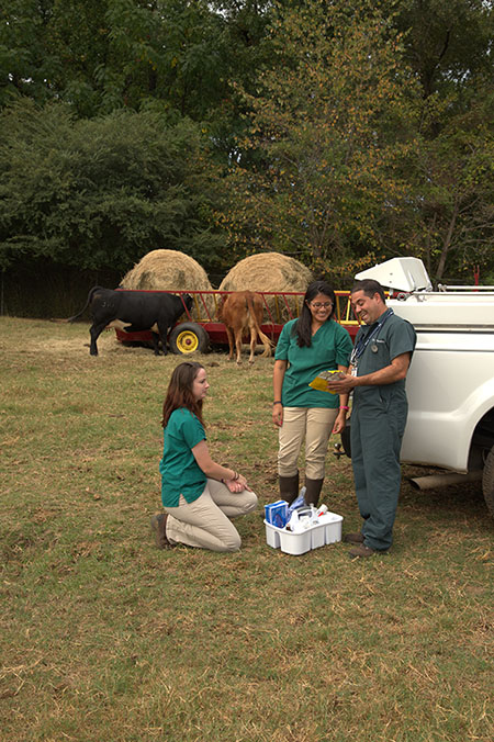 Students and veterinarian in field
