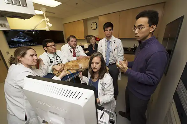 Cardiology doctor and students