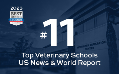 US News and World Report Ranking