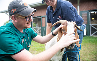 Man holding a goat