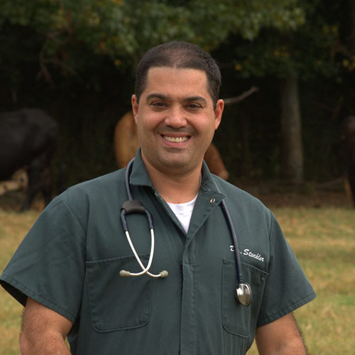 Dr. Stockler
