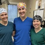 CVM seniors Carly Lyle, Taryn Pavain, and Kenzi Kittell participating in a shelter medicine rotation in partnership with the Greater Birmingham Humane Society.