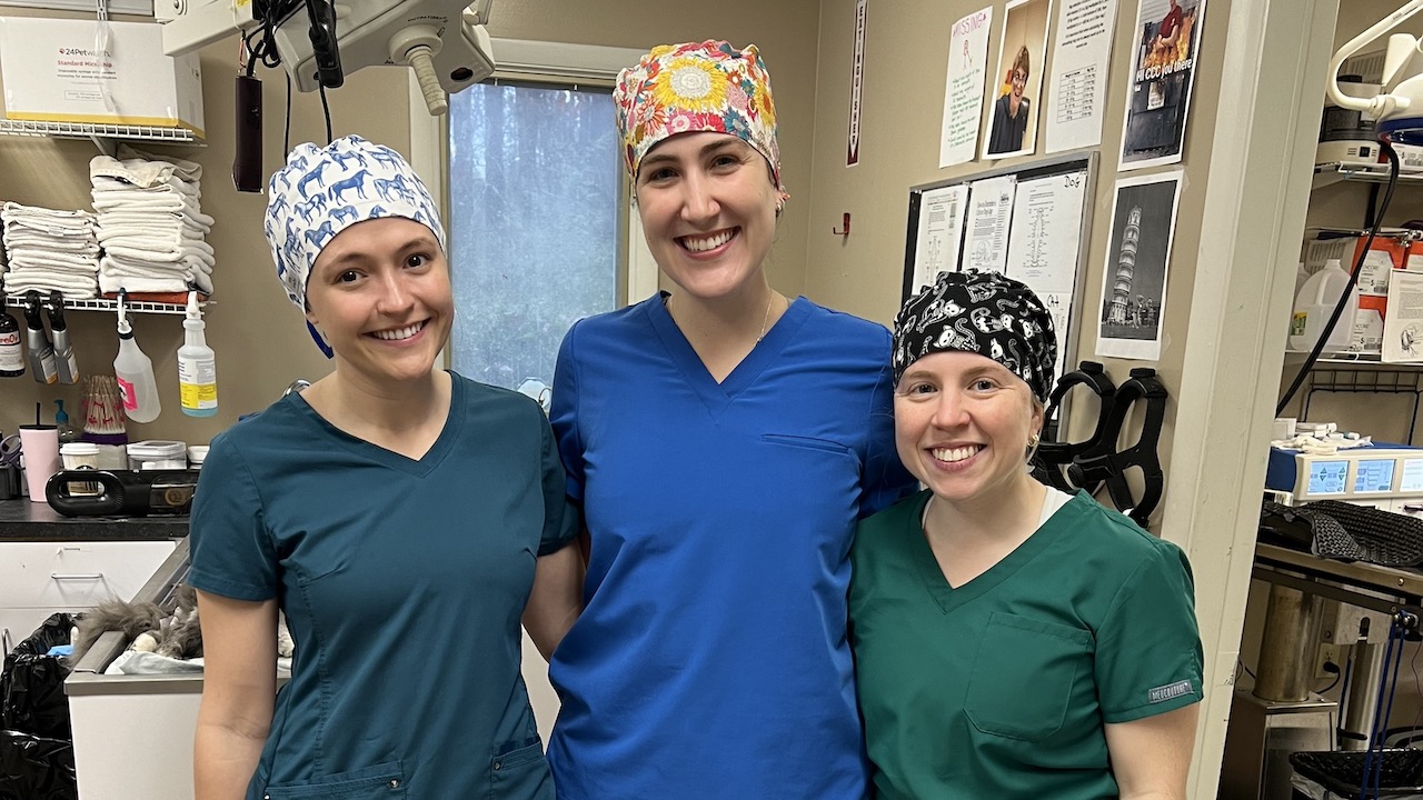 CVM seniors Carly Lyle, Taryn Pavain, and Kenzi Kittell participating in a shelter medicine rotation in partnership with the Greater Birmingham Humane Society.