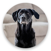 User-Profile-Image