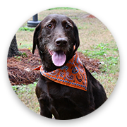 User-Profile-Image