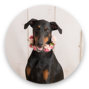 User-Profile-Image