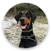 User-Profile-Image