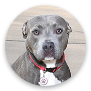 User-Profile-Image