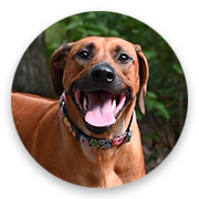 User-Profile-Image