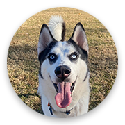 User-Profile-Image
