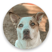 User-Profile-Image