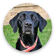 User-Profile-Image