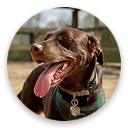User-Profile-Image