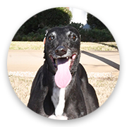 User-Profile-Image