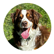 User-Profile-Image