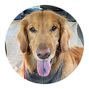 User-Profile-Image