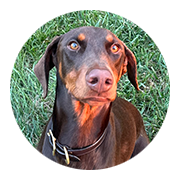 User-Profile-Image