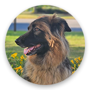 User-Profile-Image