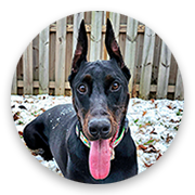 User-Profile-Image
