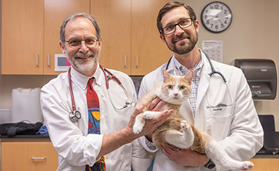 Veterinarians and cat
