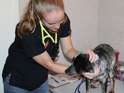 Woman holding dog